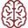 Ictus Cerebral